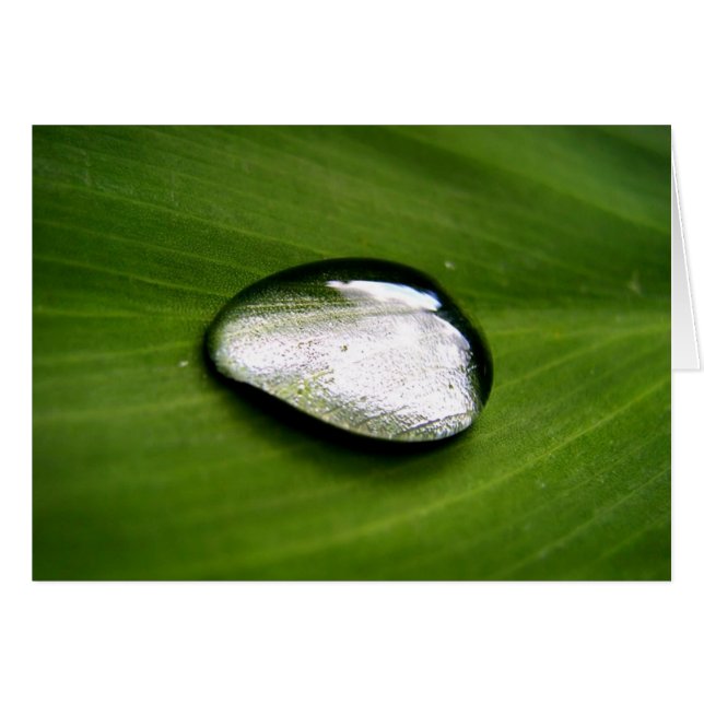 Zen Rain Drop Card (Voorkant Horizontaal)