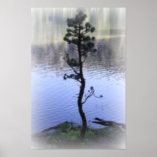 Zen Reflectie - Poster van water en bomen