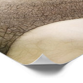 Zen Rock Garden Poster (Hoek)