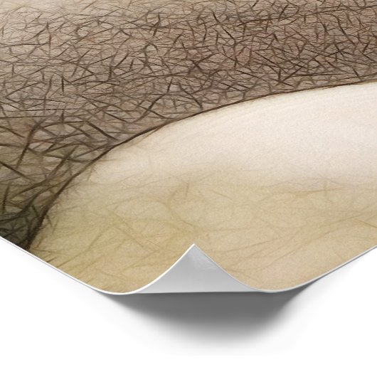 Zen Rock Garden Poster (Hoek)