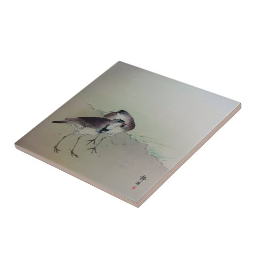 Zen-schilderplovers Tegeltje (Zijkant)