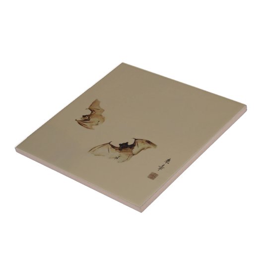 Zen schildervleermuizen tegeltje (Zijkant)