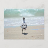 Zen Seagull bij Beach Photographic Briefkaart (Voorkant)