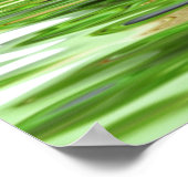 Zen, sereniteit, bemiddeling, yoga, vrede, geluk,  poster (Hoek)