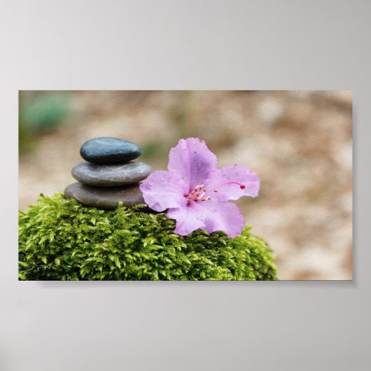 Zen Stones,Flower,Landscape Poster (Voorkant)
