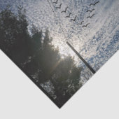 ZEN TISSUEPAPIER (Detail)