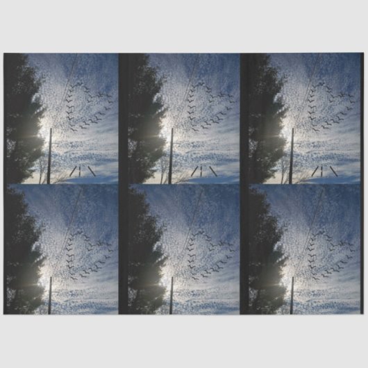 ZEN TISSUEPAPIER (Voorkant)