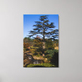 Zen Tree Portrait Canvas Afdruk (Voorkant)