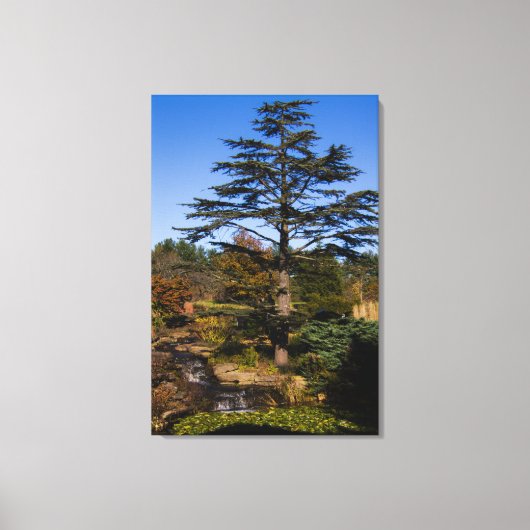 Zen Tree Portrait Canvas Afdruk (Voorkant)