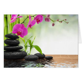 zen, vrede, roze orchidee, mooi, spa, genezing, yo