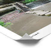 Zen Walk #1 Poster (Hoek)