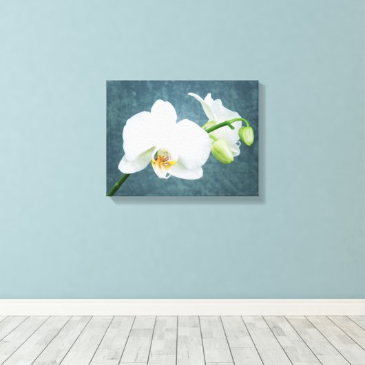 Zen White Orchid Canvas Afdruk (Insitu (Houten vloer))