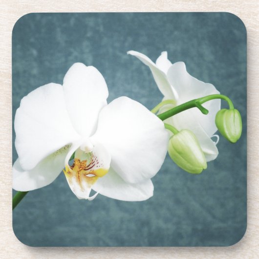 Zen White Orchid Flower Drankjes Onderzetter (Voorkant)