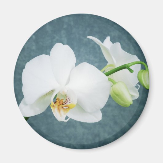 Zen White Orchid Flower Magneet (Voorkant)