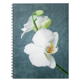 Zen White Orchid Flower Notitieboek