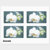 Zen White Orchid Flower Rechthoekige Sticker (Vel)