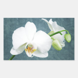 Zen White Orchid Flower Rechthoekige Sticker