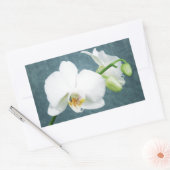 Zen White Orchid Flower Rechthoekige Sticker (Envelop)