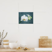 Zen White Orchid Poster (Keuken)