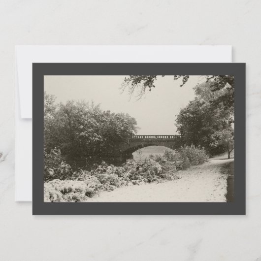 Zen Winter Sneeuwval II Kaart (Voorkant)