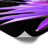 Zen Yoga Meditation Lotus Flower Poster (Hoek)