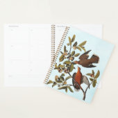 Zenaida-dove van Audubon op boomtak Planner (Display)