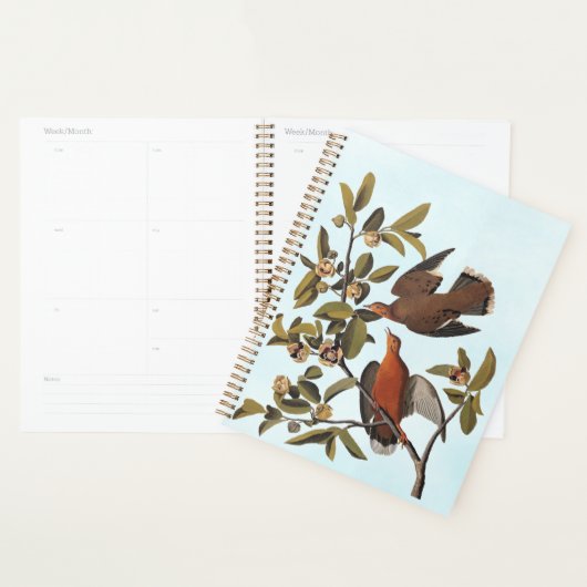 Zenaida-dove van Audubon op boomtak Planner (Display)