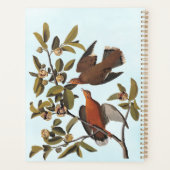 Zenaida-dove van Audubon op boomtak Planner (Achterkant)