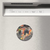 Zenaida druiven klaar voor de oogst magneet (Insitu (Vaatwasser))