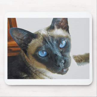 ZenaLrg_7_20_05_edited-1 Muismat