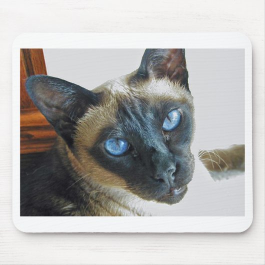 ZenaLrg_7_20_05_edited-1 Muismat (Voorkant)