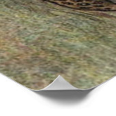 Zenobia Queen of Palmyria Poster (Hoek)