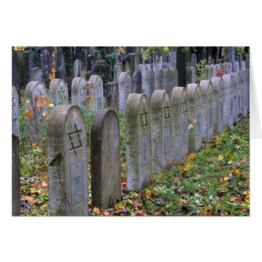 Zentralfriedhof (Voorkant Horizontaal)