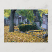 Zentralfriedhof Briefkaart (Voorkant)