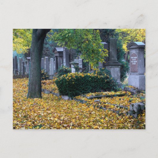 Zentralfriedhof Briefkaart (Voorkant)