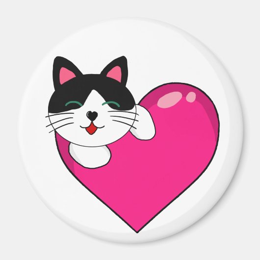 Zenuwmagneet Magneet (Voorkant)