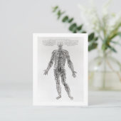 Zenuwstelsel (b/w druk) briefkaart (Staand voorkant)