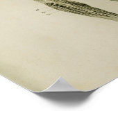 Zenuwstelsel Humaan  Anatomie Afdrukken Poster (Hoek)