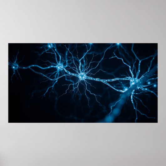zenuwstelsel poster (Voorkant)