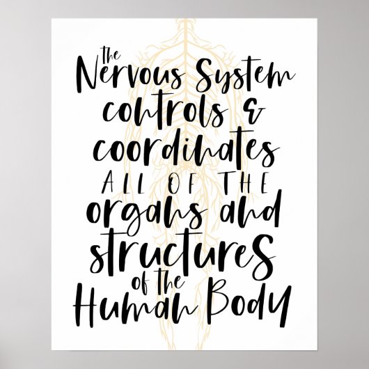 Zenuwstelsel Poster, Chiropractie Poster, Chiro  Poster (Voorkant)