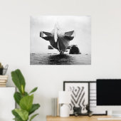 Zeppelin Stern: 1908 Poster (Thuiskantoor)