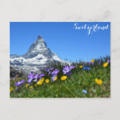 Zermatt Matterhorn Zwitserland Zwitserse Alpen Briefkaart (Voorkant)