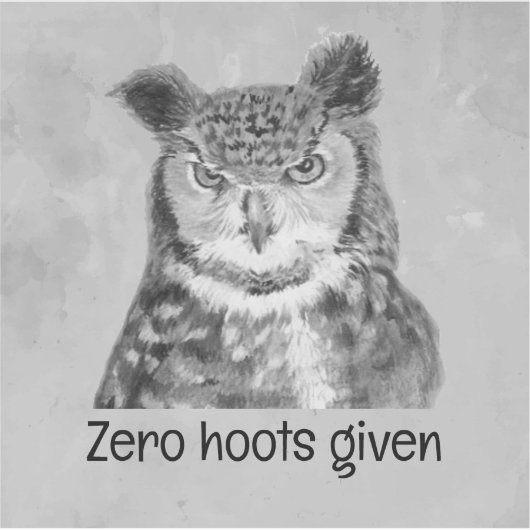 Zero hoots voor sarcastisch plezier sticker (Voorkant)