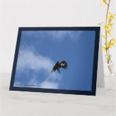 Zeroing in op de vangst kaart (Gele Bloem)