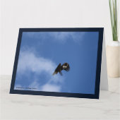 Zeroing in op de vangst kaart (Voorkant)