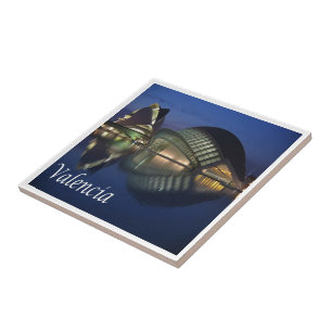 zES100 VALENCIA panorama, Spanje, Tegeltje