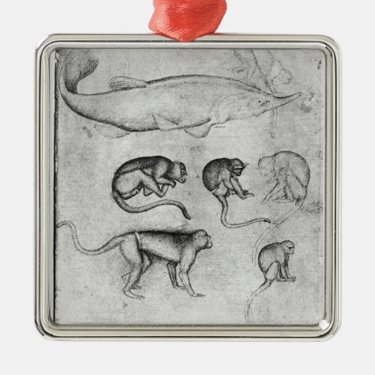 Zes apen en een Sturgeon Metalen Ornament (Voorkant)