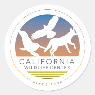 Zes CWC-Logo Sticker