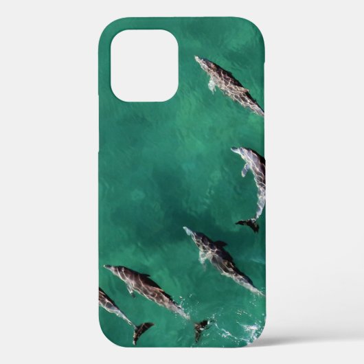 ZES DOLPHINS BIJ KALMWATER Case-Mate iPhone CASE (Achterkant)