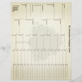 Zes generaties oud papier  bekijken